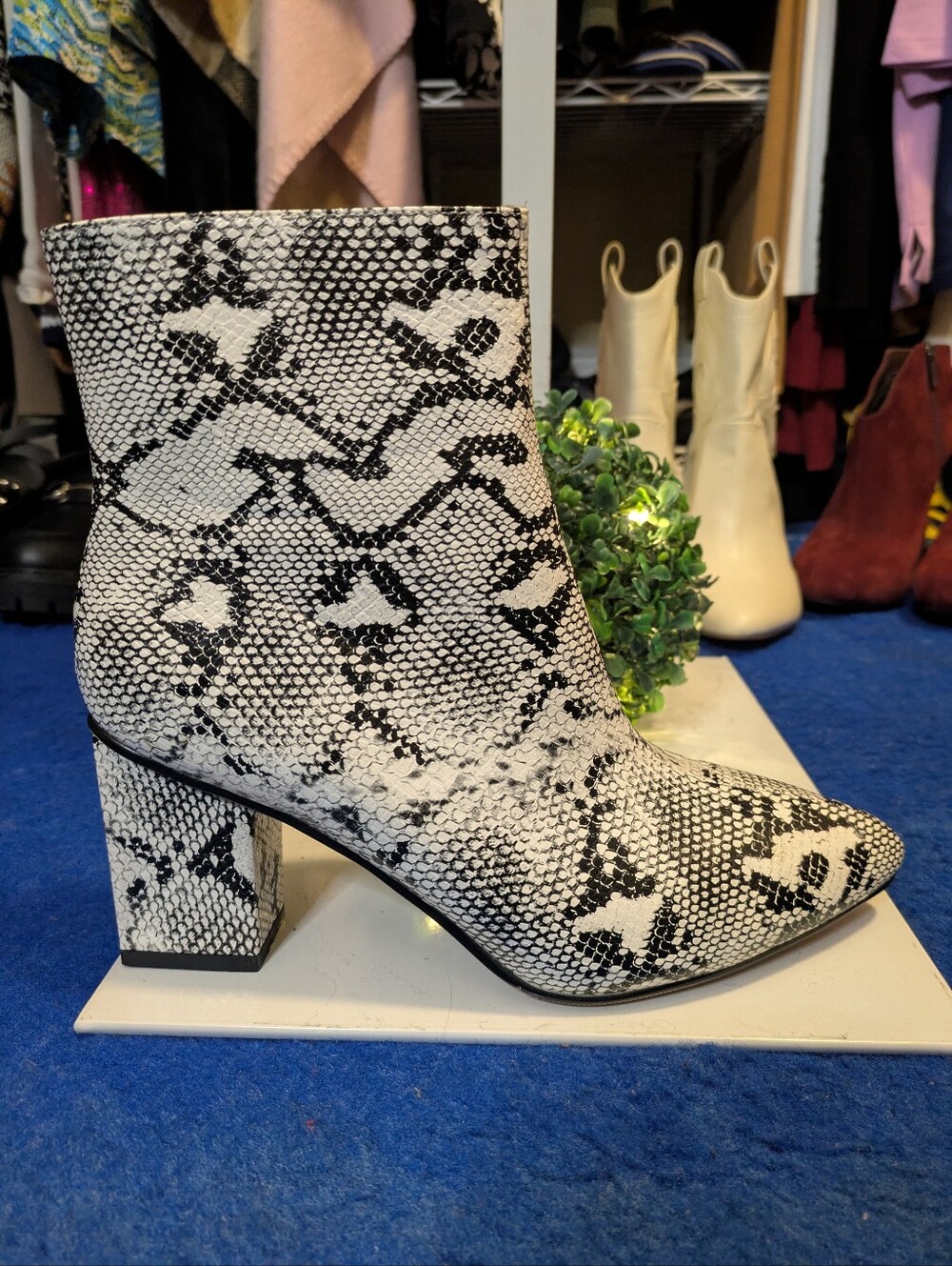 WETKISS Faux Snakeskin Pointed-Toe Block Heel Ankle Booties 9